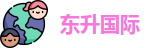 东升国际